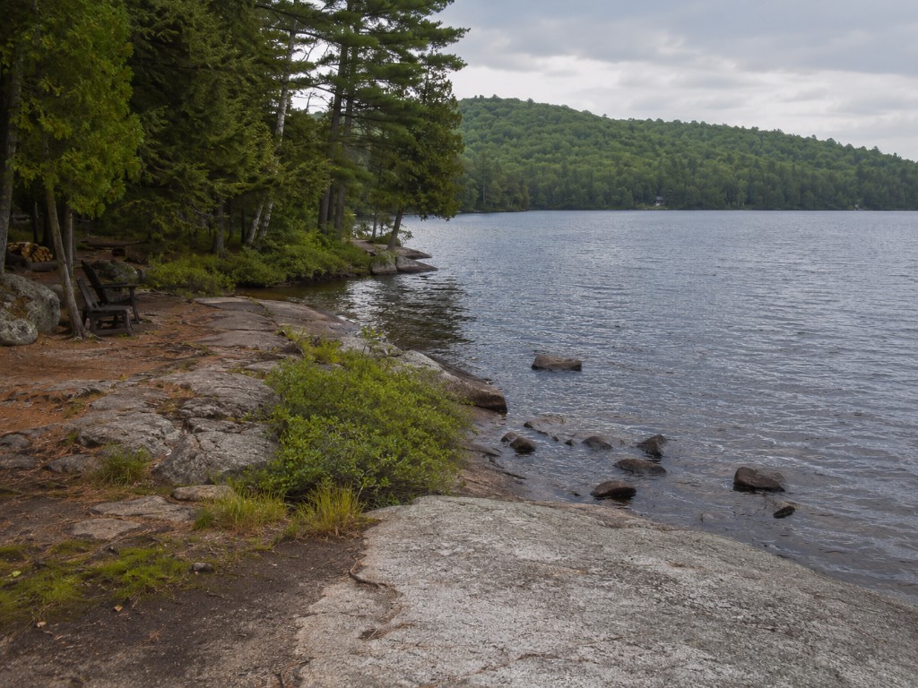 Granite shoreline on a Canadian lake — forest, rocks, and quiet water